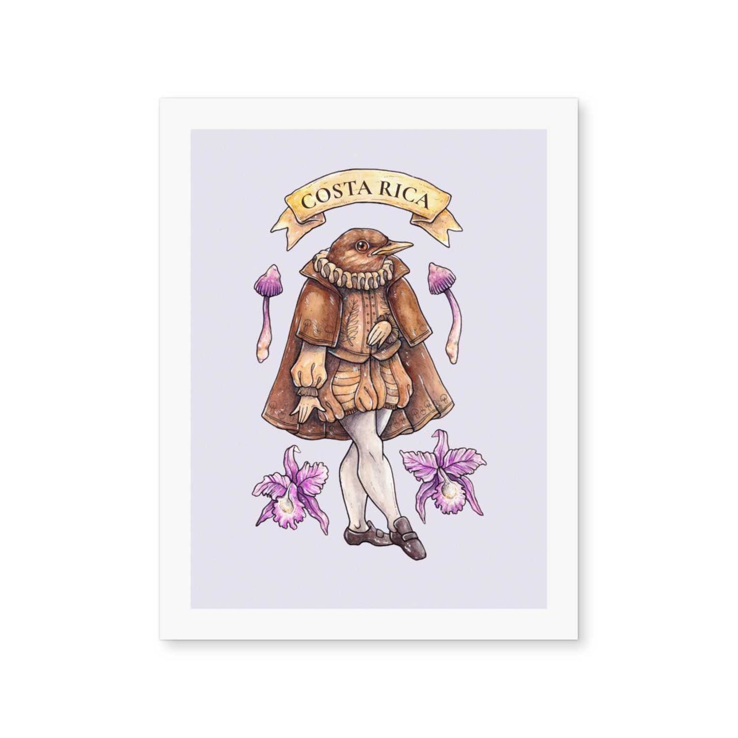 Clay-colored Troubadour