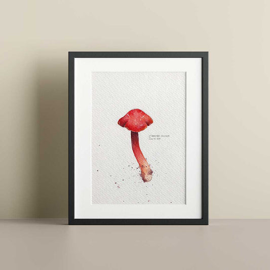 Hygrocybe red- Original painting