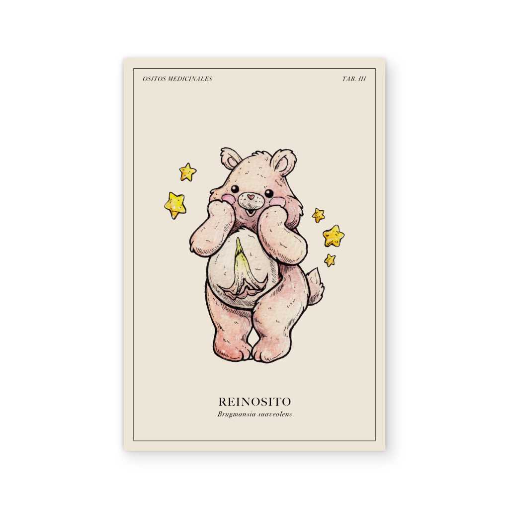 Medicine bears