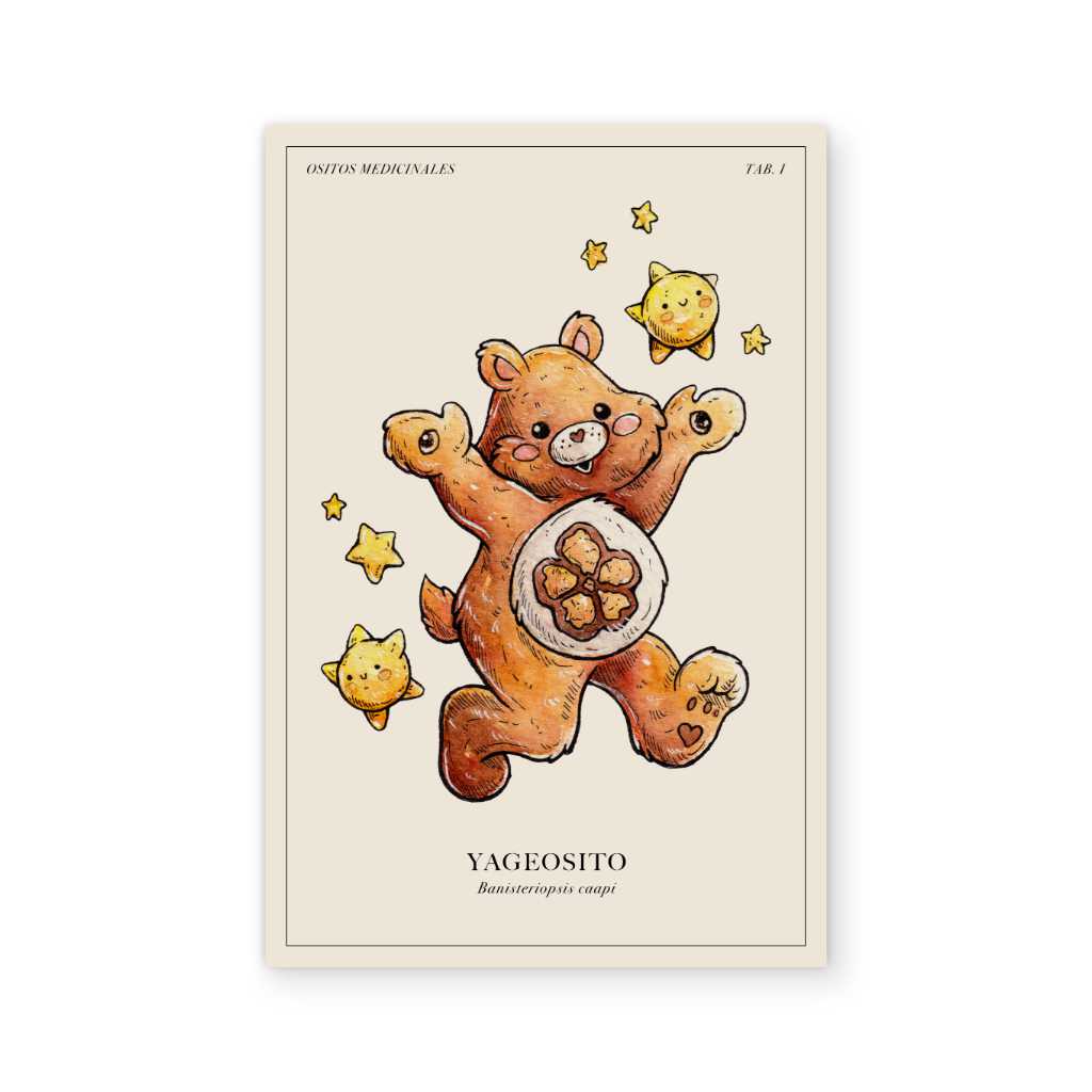 Medicine bears