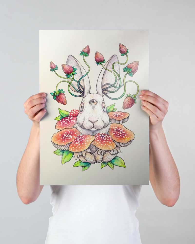 Falsa Oronja - print a3