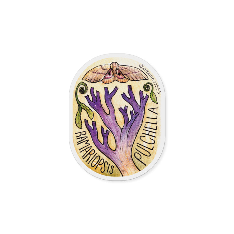 Ramariopsis pulchella - sticker