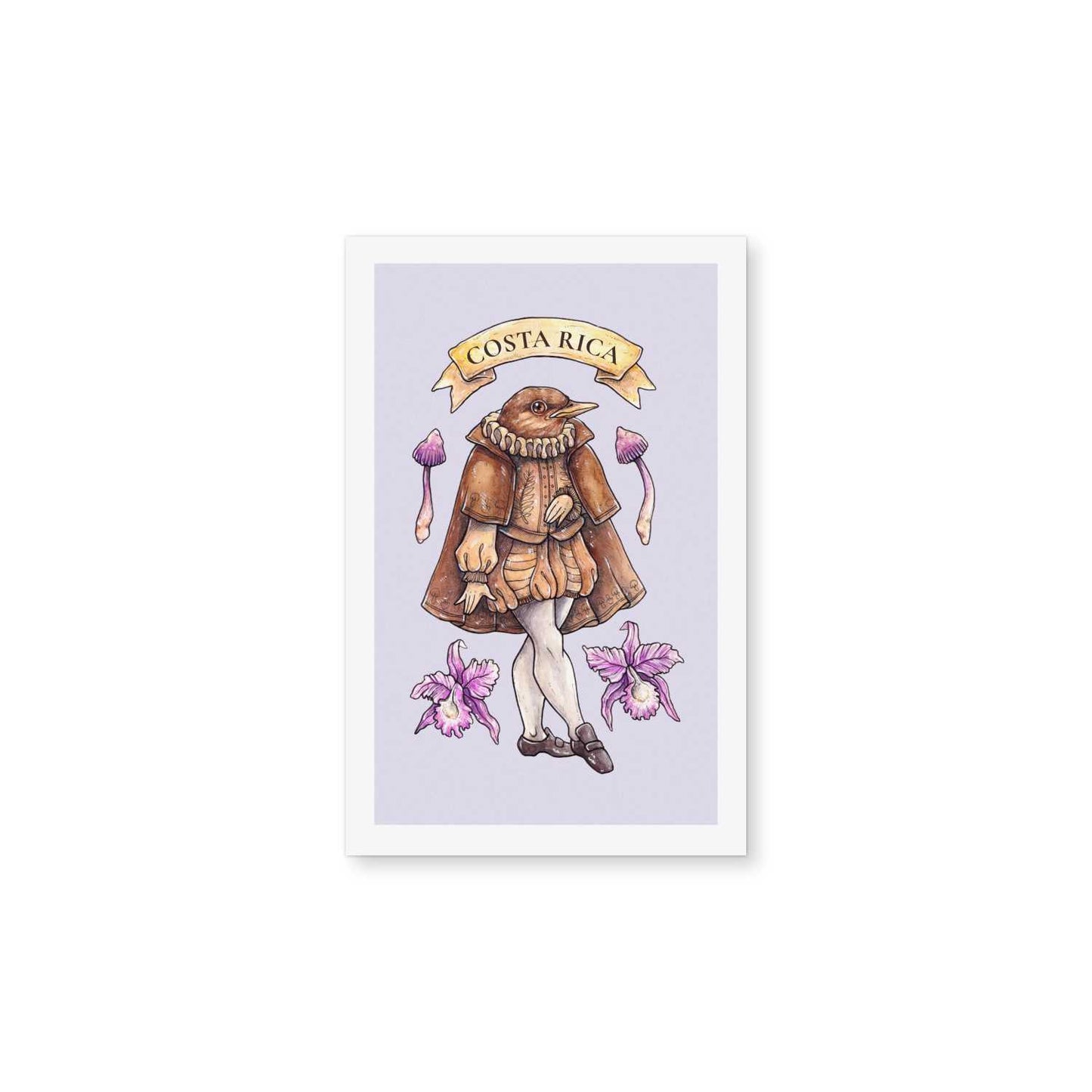 Clay-colored Troubadour