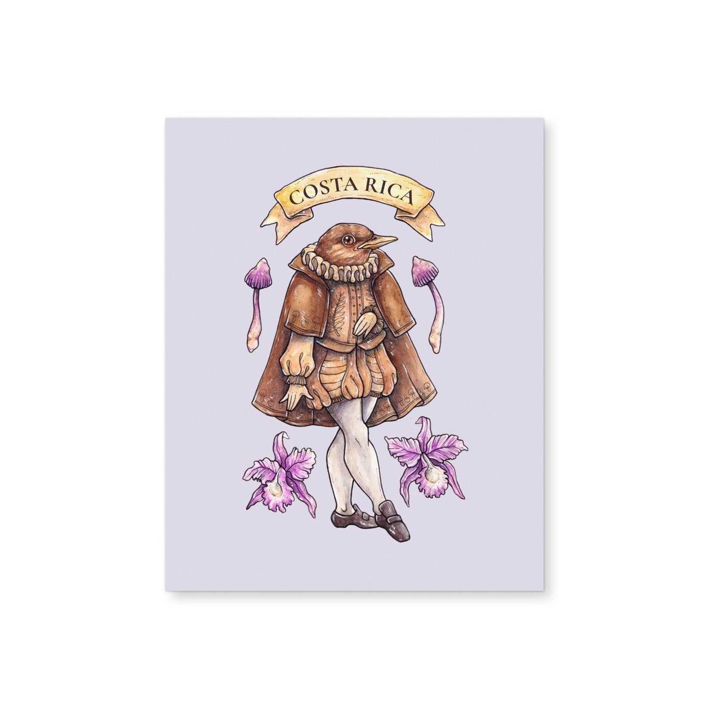 Clay-colored Troubadour