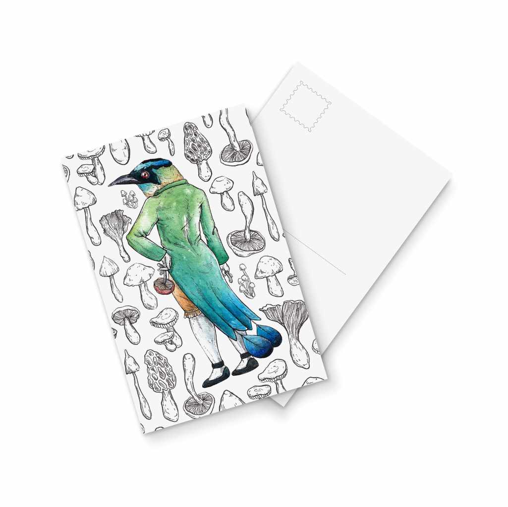 Motus - Postcard