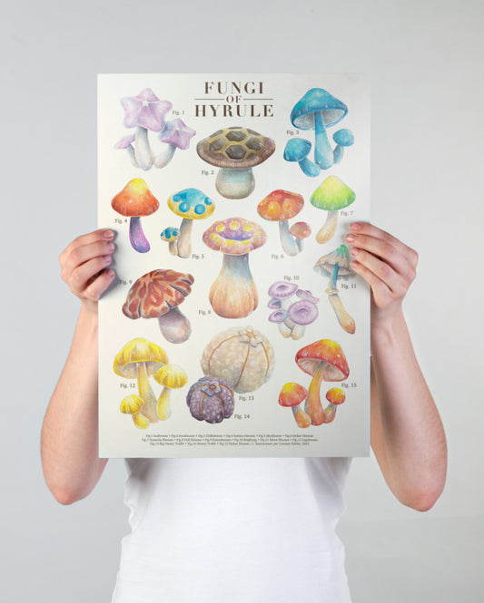 Fungi of Hyrule - print A3