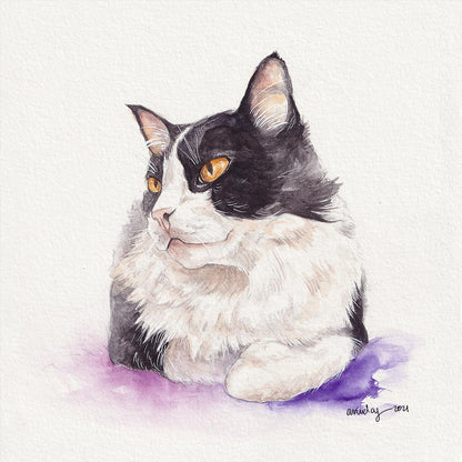 Retrato de mascota (individual)