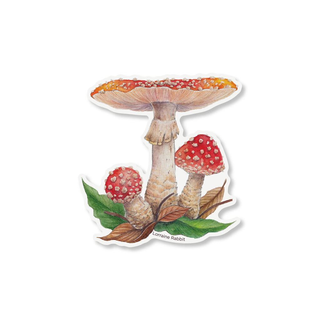 Fungi stickers