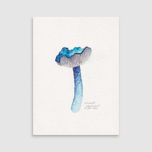 Entoloma blue - Original painting