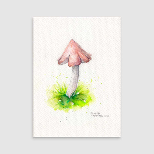 Hygrocybe pink - Original painting