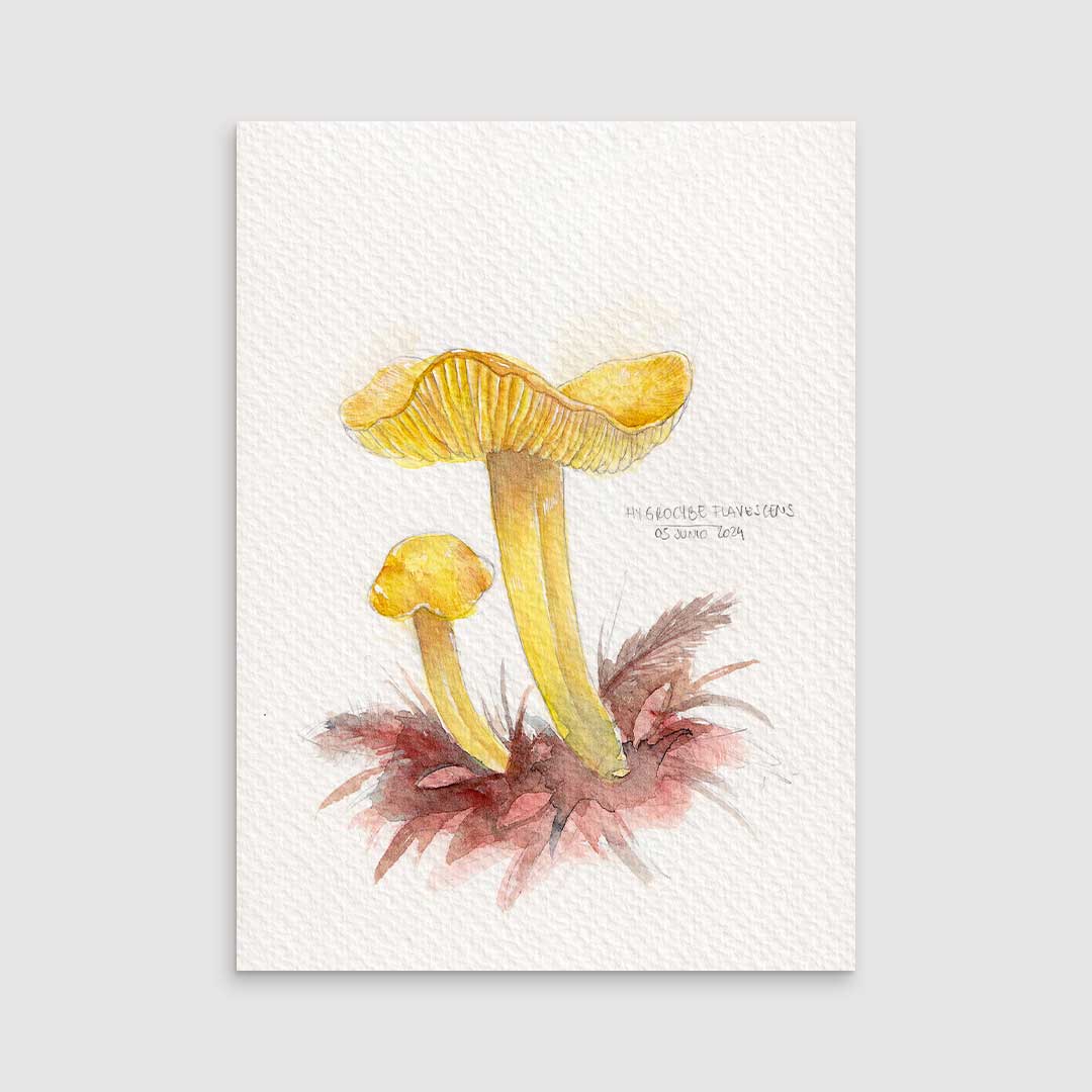 Hygrocybe yellow - Original painting