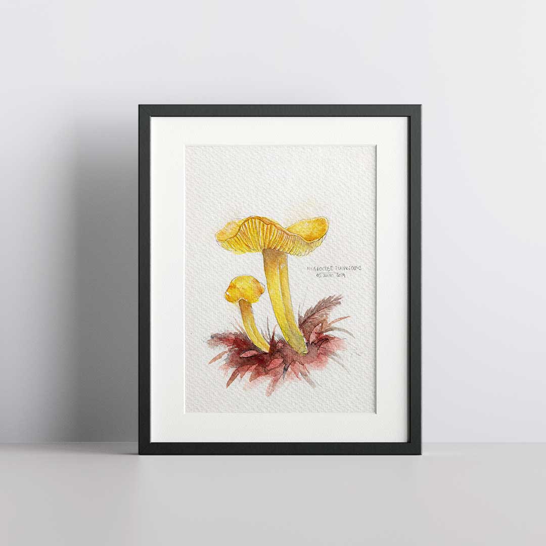 Hygrocybe yellow - Original painting