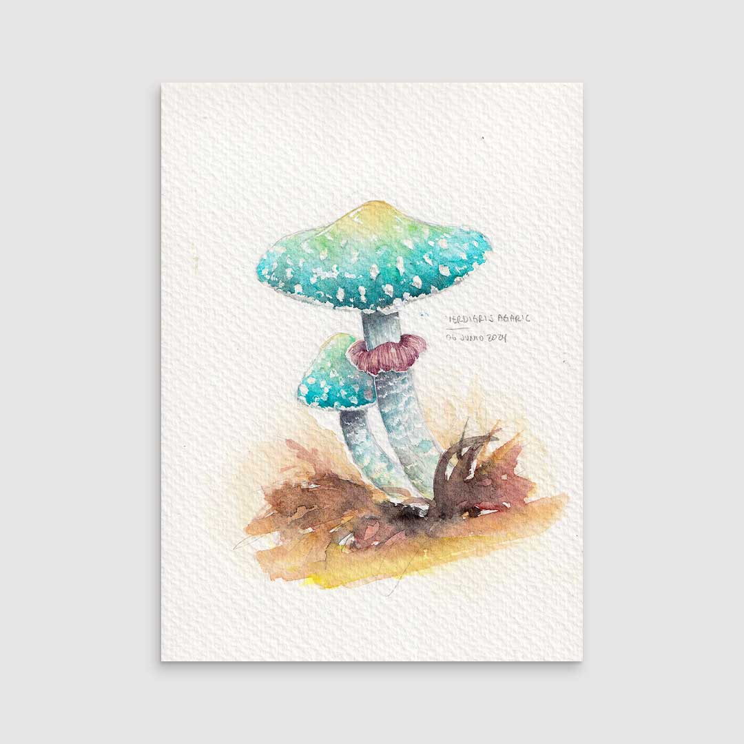 Agaric turquoise - Original painting