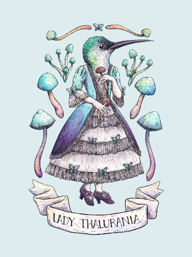 Lady Thalurania