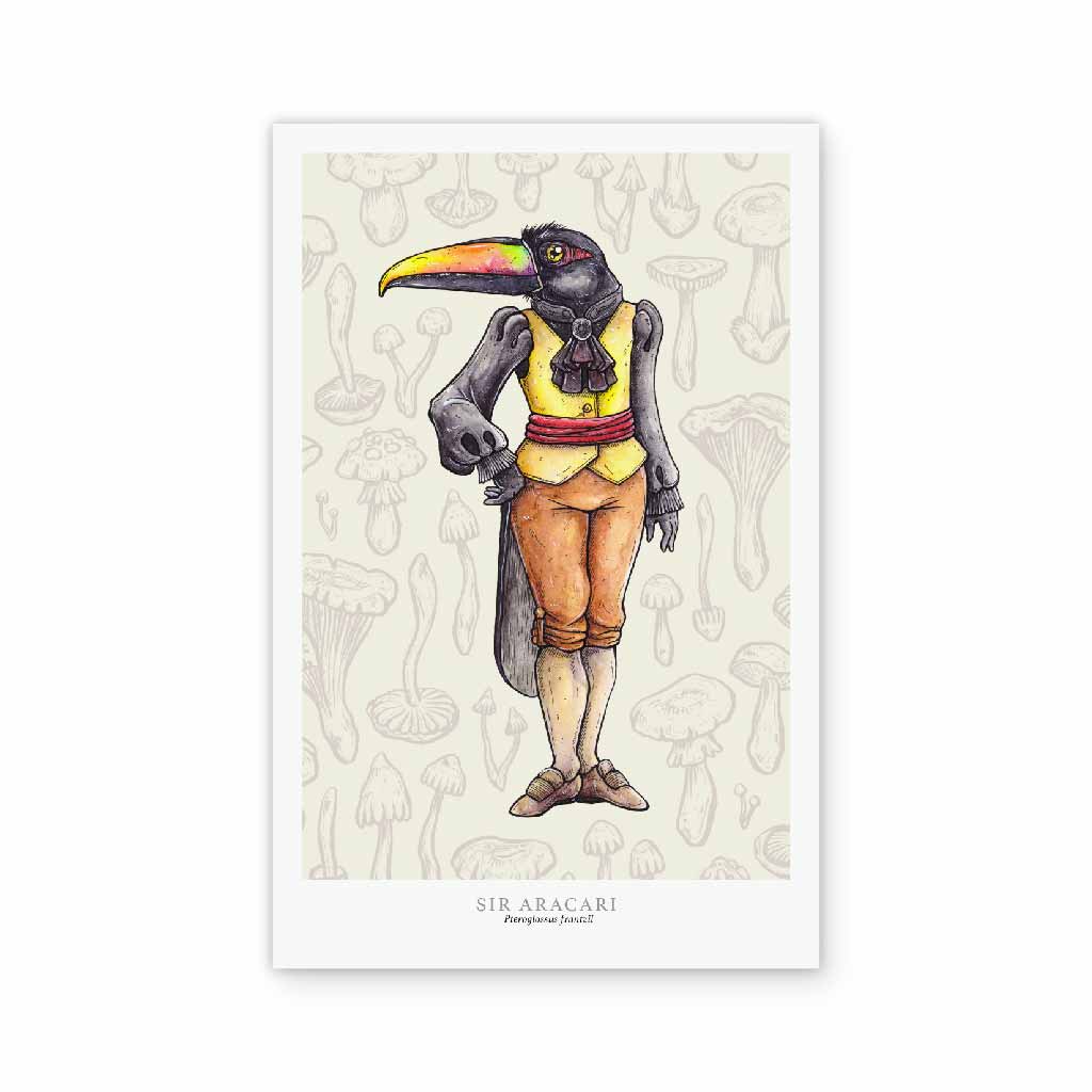 Sir Aracari