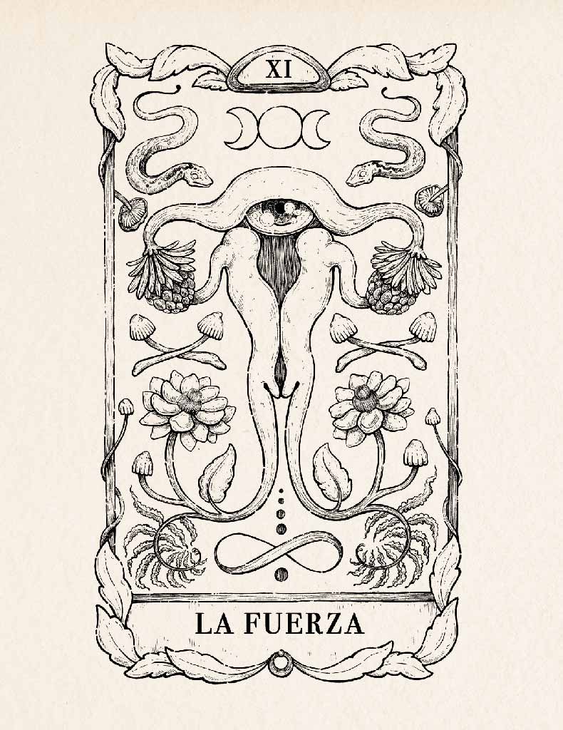 La Fuerza 2