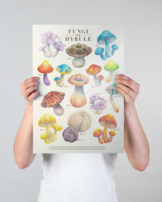 Fungi of Hyrule - print A3