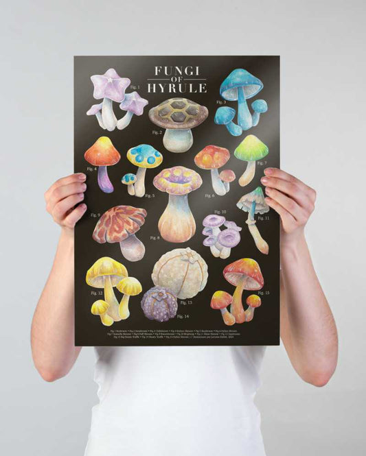 Fungi of Hyrule - print A3 (oscuro)