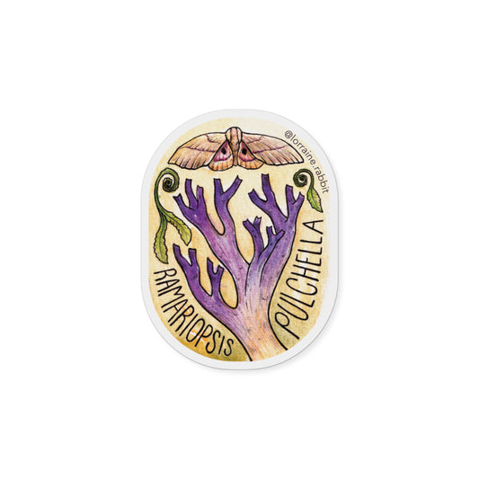 Ramariopsis pulchella - sticker