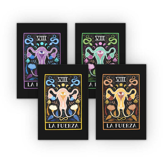 La Fuerza - seasons