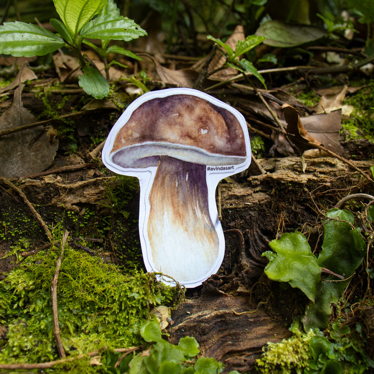 Fungi stickers