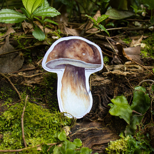 Boleto - sticker