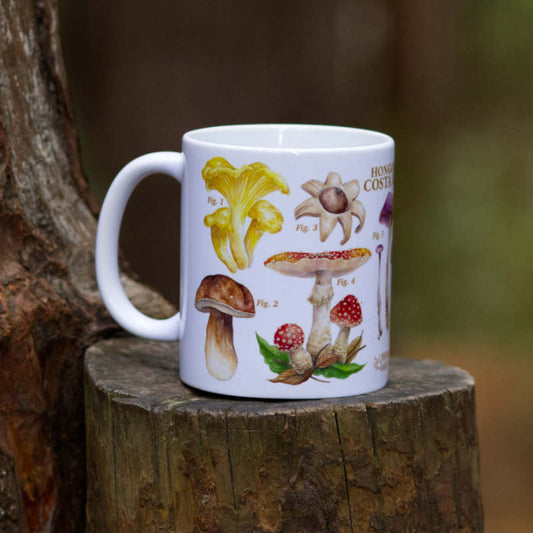 Hongos de CR - Taza