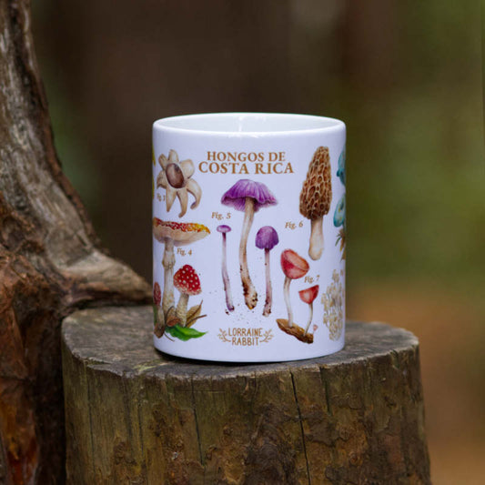 Hongos de CR - Taza