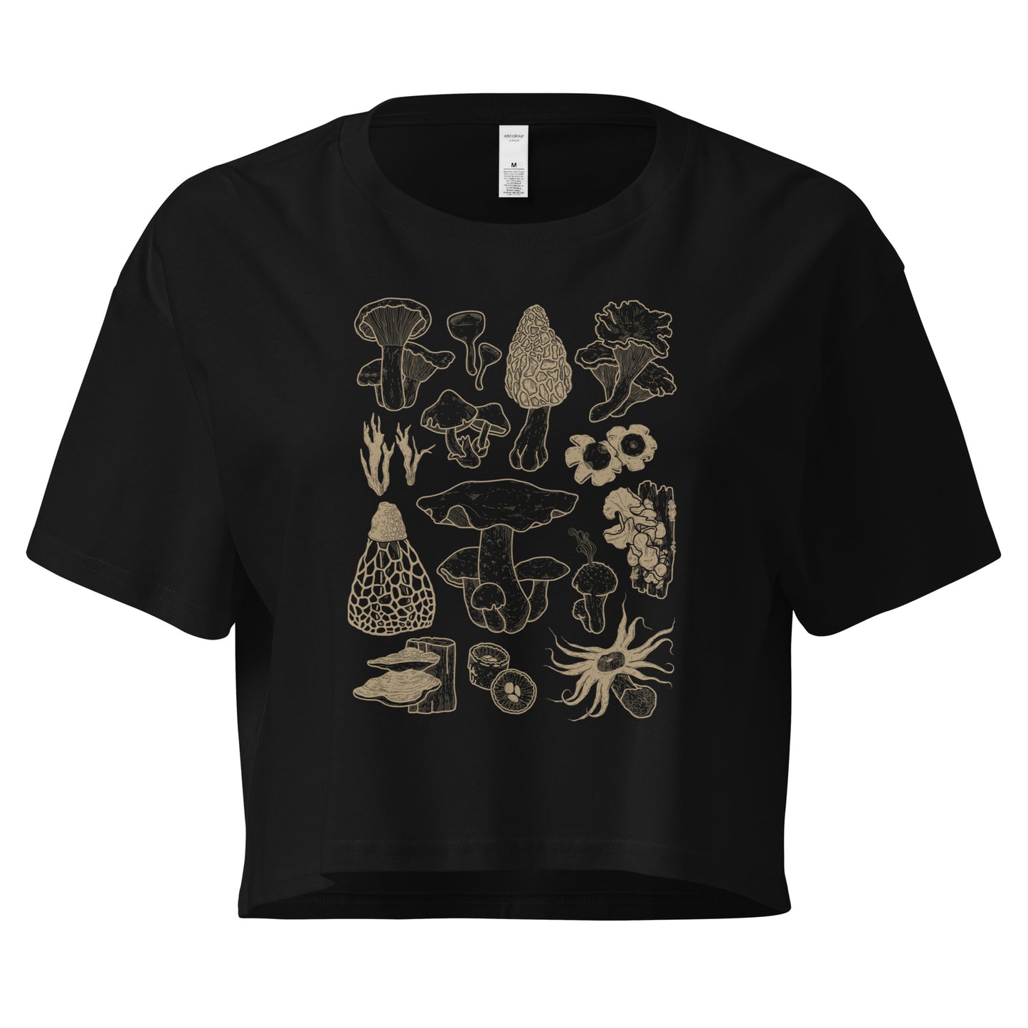 Fungi of Costa Rica - Women’s crop top