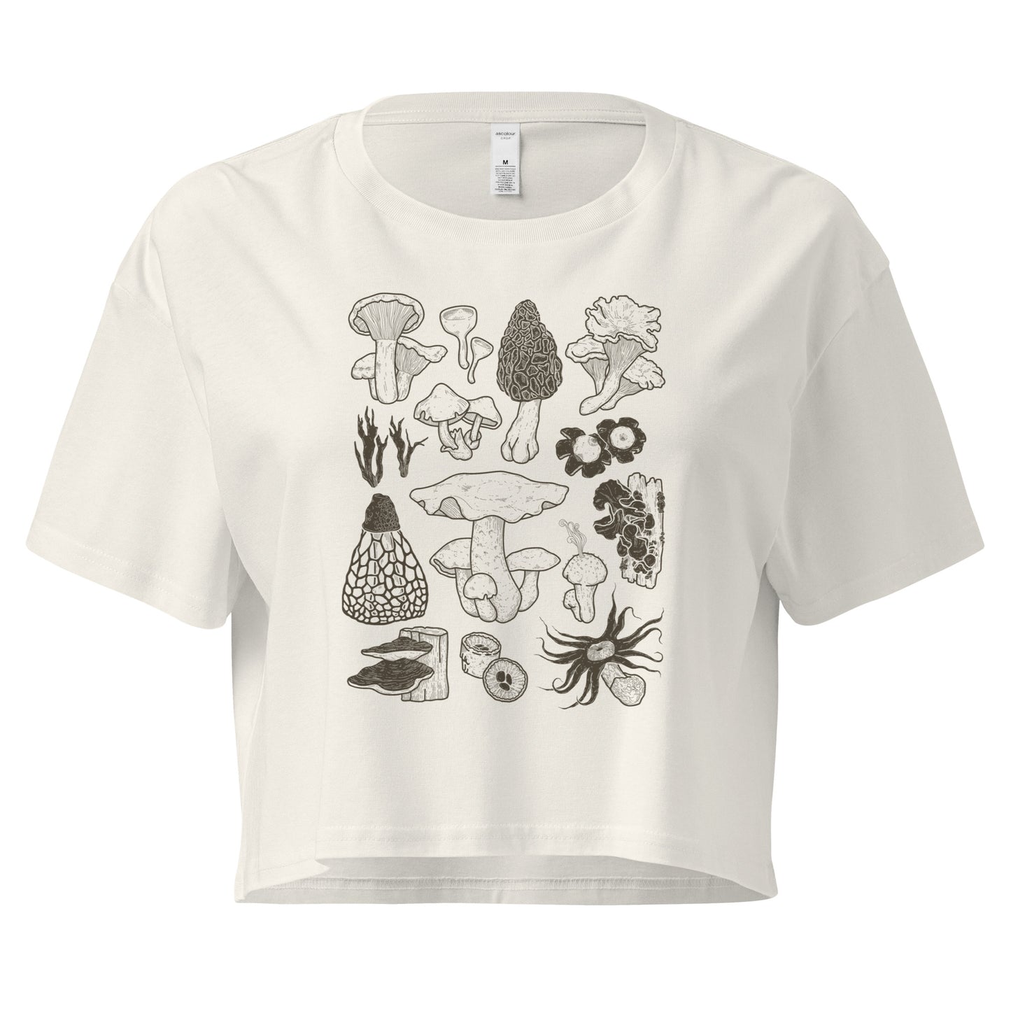 Fungi of Costa Rica - Women’s crop top