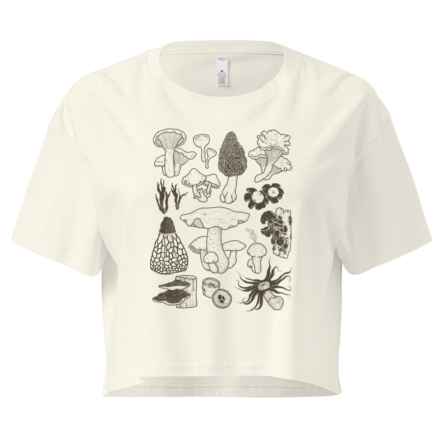 Fungi of Costa Rica - Women’s crop top